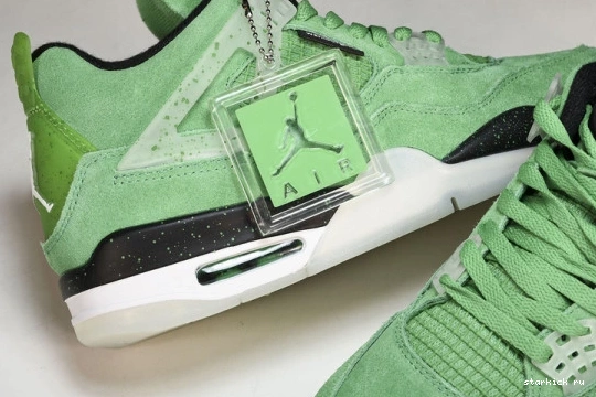 AJ4-904284 4 PE  Air Oregon Duck  Jordan Green AJ4-904284 1114